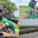 À Djibélor, l’ISRA mise sur la production de semences adaptées aux réalités de la riziculture en Casamance