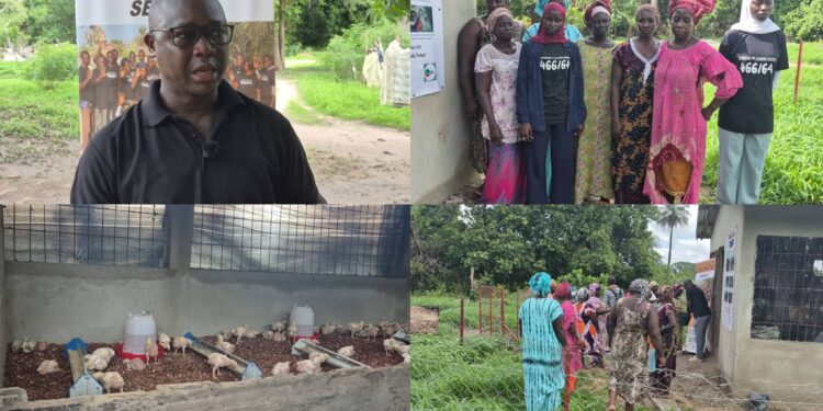 À Boffa Bayotte, Ubuntu Sénégal mise sur l’autonomisation des femmes pour accompagner le retour des populations