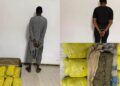 Trafic de drogue : les Douanes saisissent 28 kg de chanvre indien à Nioro