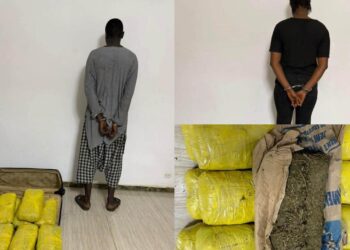 Trafic de drogue : les Douanes saisissent 28 kg de chanvre indien à Nioro 2 Trafic de drogue : les Douanes saisissent 28 kg de chanvre indien à Nioro