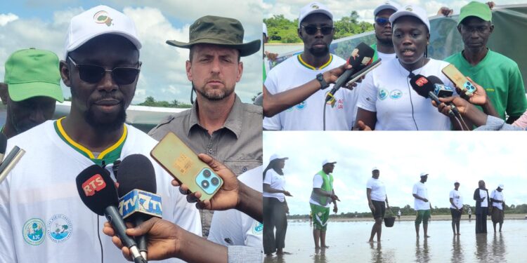 Casamance : à Balandine, une campagne pour restaurer 10 hectares de mangrove et renforcer la résilience des communautés face au changement climatique