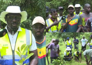 À Kamabeul, le CROFAZ mise sur l’anacarde pour renforcer la production agricole au Sénégal 2 À Kamabeul, le CROFAZ mise sur l’anacarde pour renforcer la production agricole au Sénégal