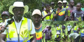 À Kamabeul, le CROFAZ mise sur l’anacarde pour renforcer la production agricole au Sénégal