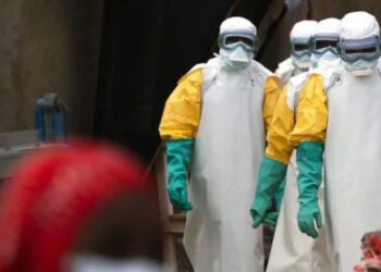 Ebola : un cas confirmé au Nigeria, 44 contacts étroits placés sous surveillance à Abuja