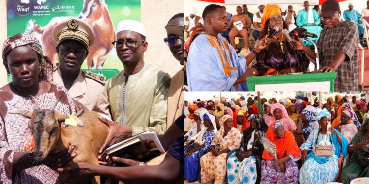 À Aéré Lao, le projet WAPEC prend son envol pour autonomiser 2 000 femmes et jeunes grâce au waqf et à l'élevage caprin 1 À Aéré Lao, le projet WAPEC prend son envol pour autonomiser 2 000 femmes et jeunes grâce au waqf et à l’élevage caprin