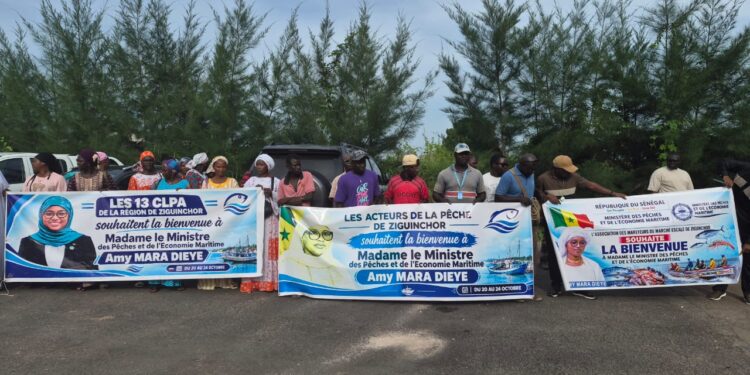 Ziguinchor : les mareyeurs plaident pour la construction d’un marché central aux poissons